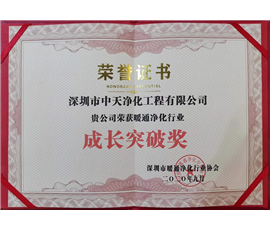 成长突破奖  2020